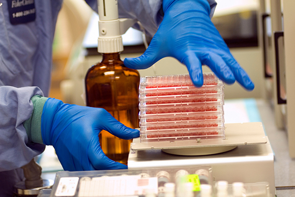 人體組織得來不易 器官保存挽救八仙塵爆傷者