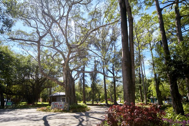 城市小插曲 喧囂桃花源