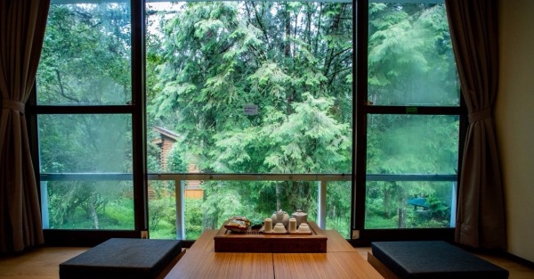 炎熱酷夏日　帶爸爸到溪頭享森之療浴