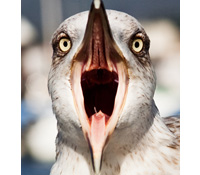 FB可以不要再把我的名字放到廣告裡了嗎？