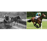 台灣科技業喊人才荒—是沒有千里馬，還是沒有伯樂？