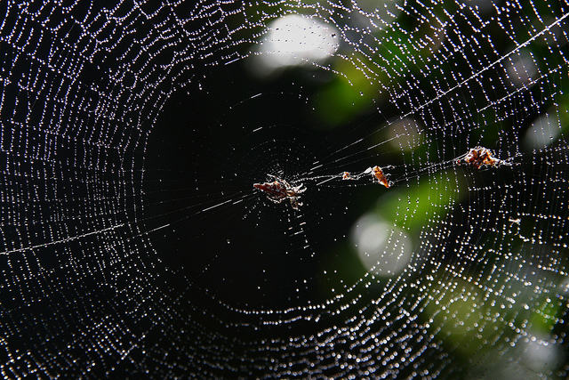 六種讓台商在中國萬劫不復的陷阱