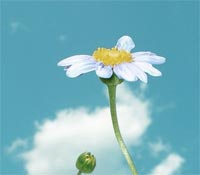 那些年，我們一起玩樂學習的日子