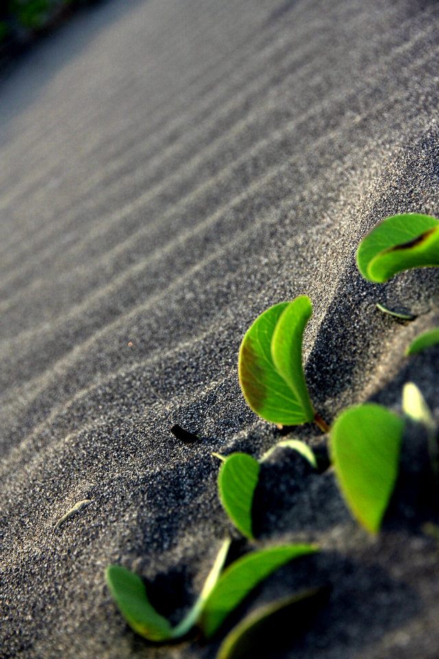 退而不休 在社會企業找到專業第二春