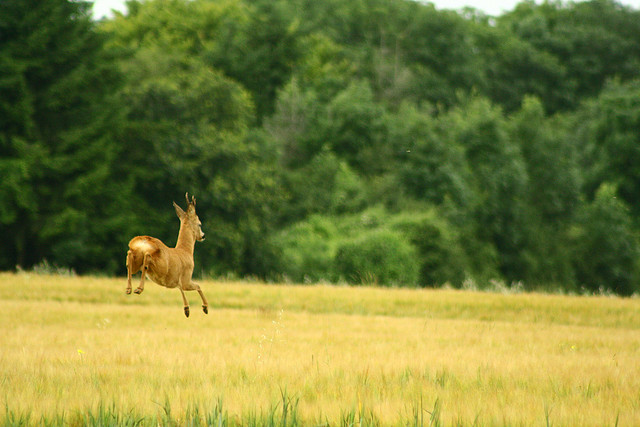 你以為投資只有「波動」風險嗎？