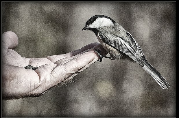 Pound Foolish讀後感(1) 如何避開金融業行銷陷阱