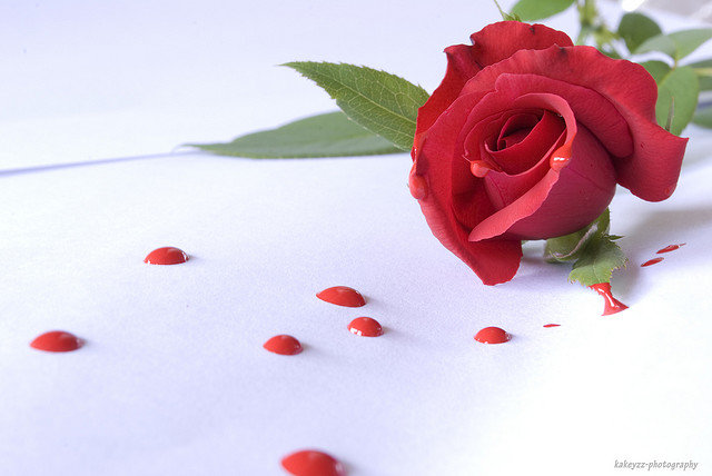 從高雄氣爆談愛心捐款