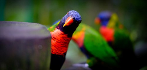 你願意付多少來買生存必需的水？那鑽石呢？