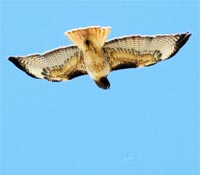 實現夢想，現在開始行動