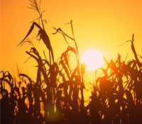 一個念頭能有多大的力量？