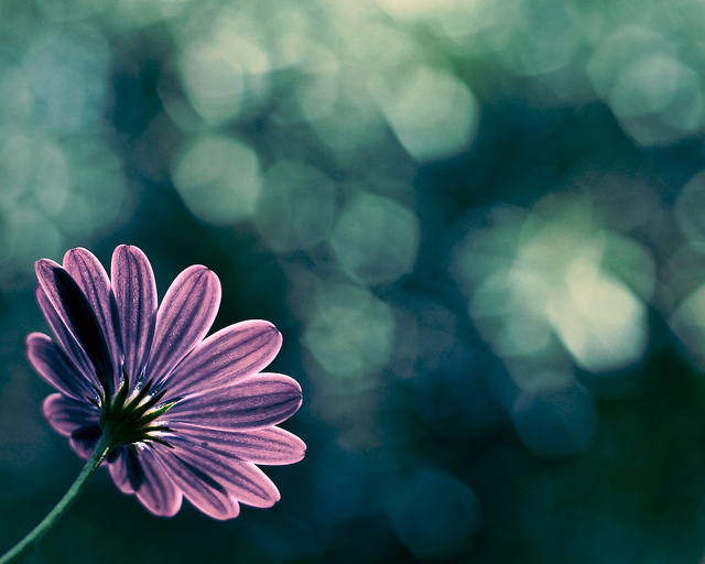 正念三步曲讓你在工作中重生