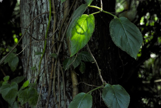 贏在人生下半場