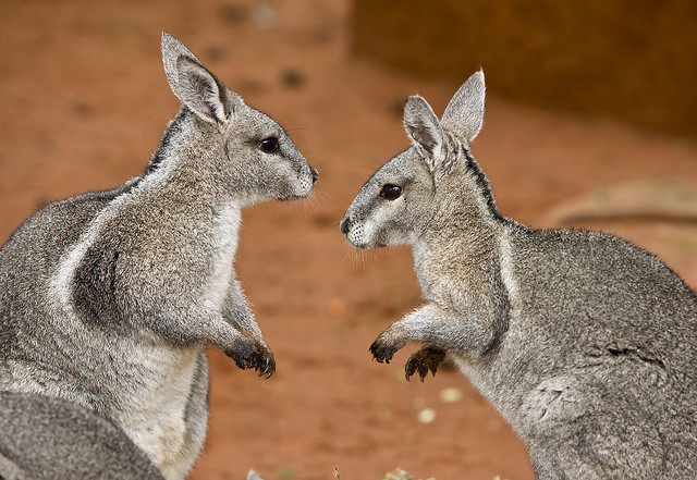 從「心」出發  開口就說對話