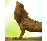 大珠小珠落玉盤般的人生意外