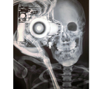 精熟五大步驟變身全腦人