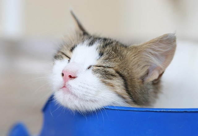 生命中難題的解答，都在放鬆時出現