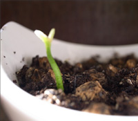 最容易的，最困難