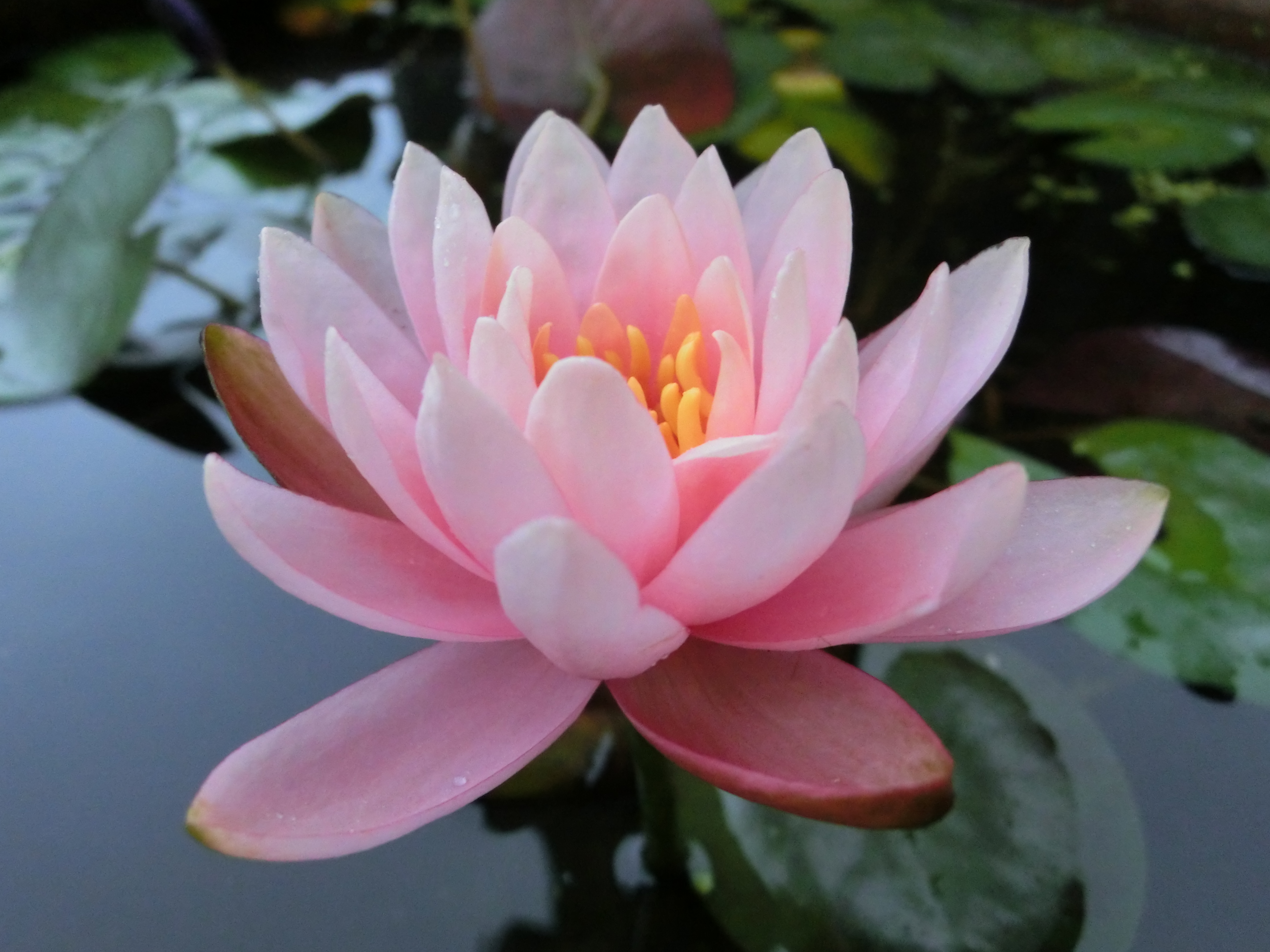 有準備，俯拾皆機會！