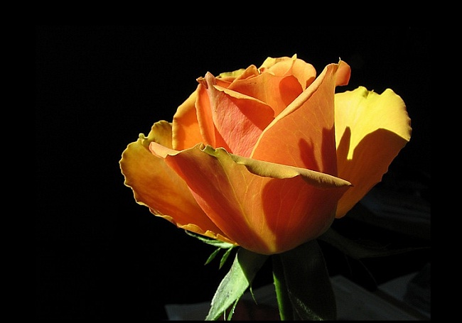 減量生活，別被東西綁住！