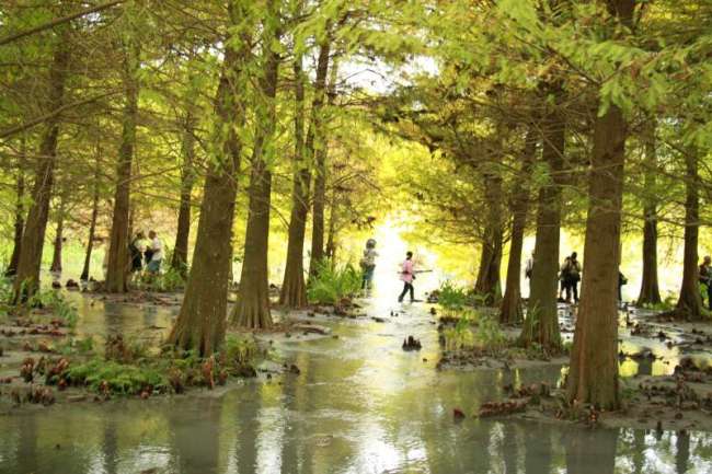 想夢的人vs.敢夢的人