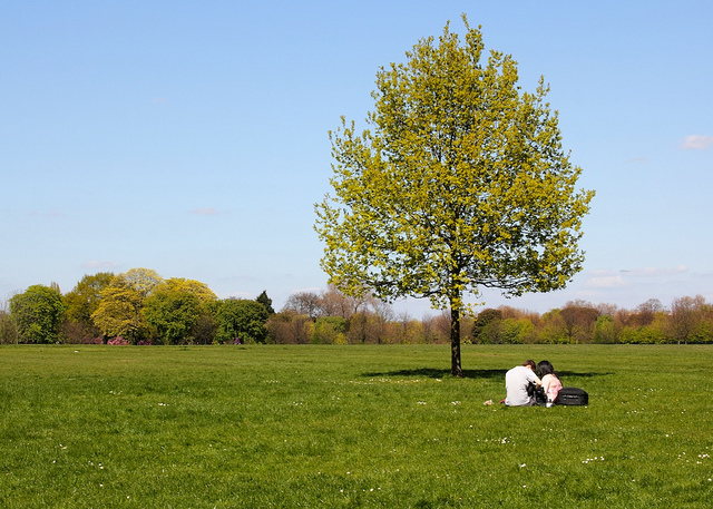 我愛你，女人一輩子聽不夠！
