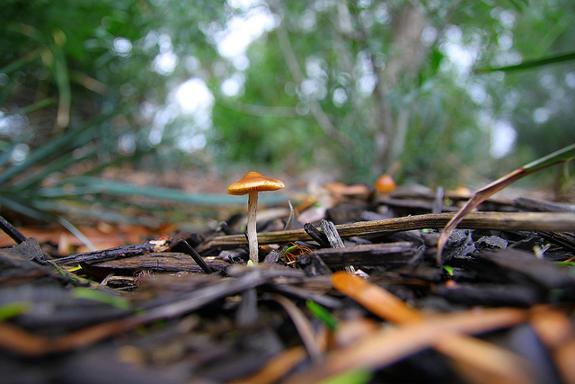 5個小秘訣，讓老闆聽話！