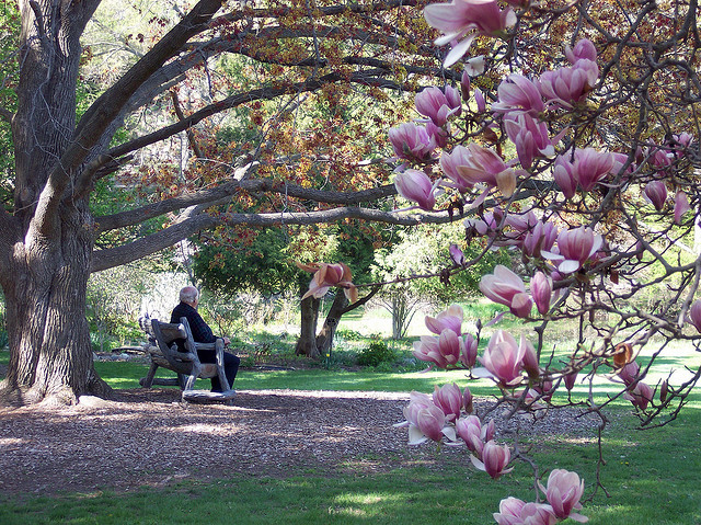 女人用智慧，就能留住男人下半生
