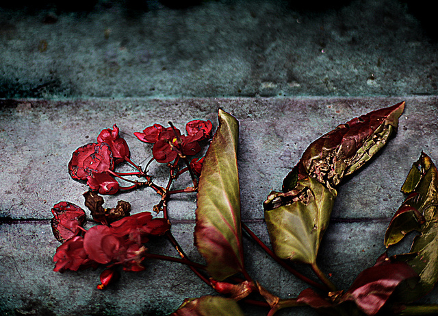 跟父母談死亡，沒那麼難？！