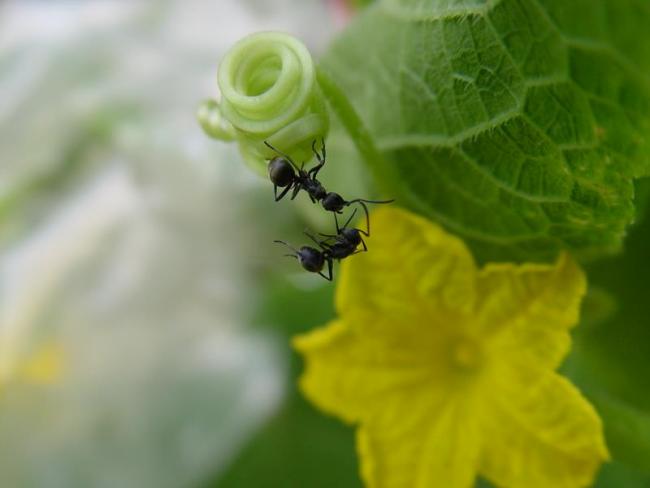 成功的人更疼惜一切