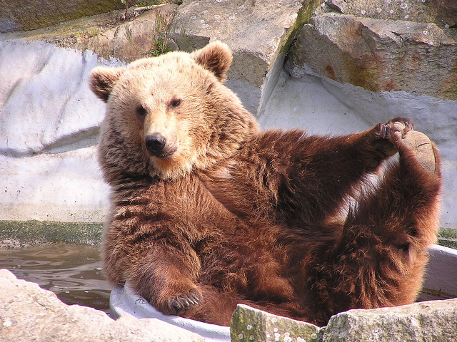 想要更有創意，要先學會偷懶！