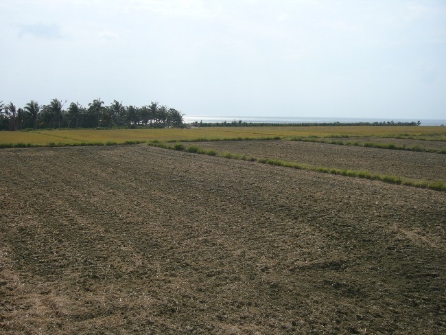 「昨日的你」讓「現在的你」更辛苦嗎？