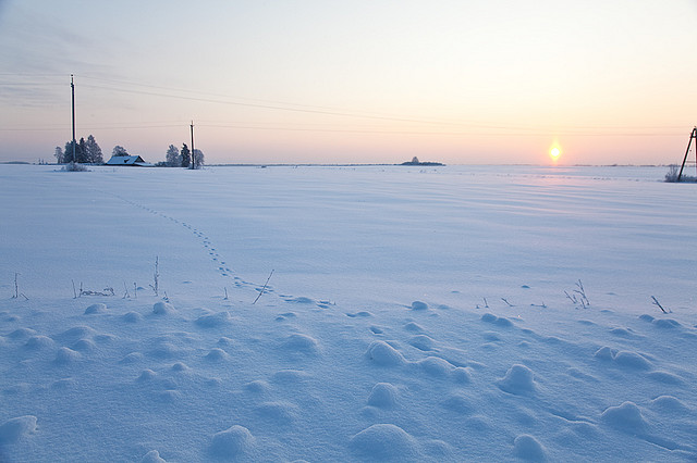 跟隨前人腳步，不是永遠的捷徑保證！