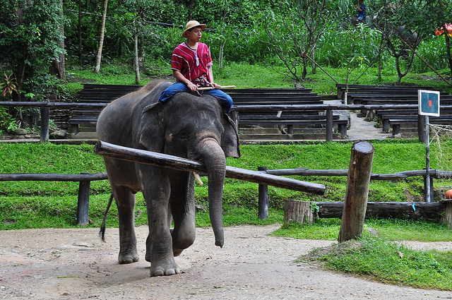 綁住你的是過去的經驗，不是未來的困難