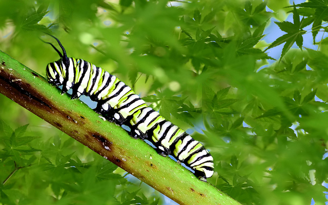 人生，在每個階段都需要重塑自我！