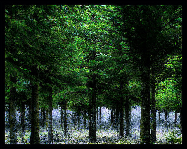 撕掉「判斷」的標籤，天天零煩惱！