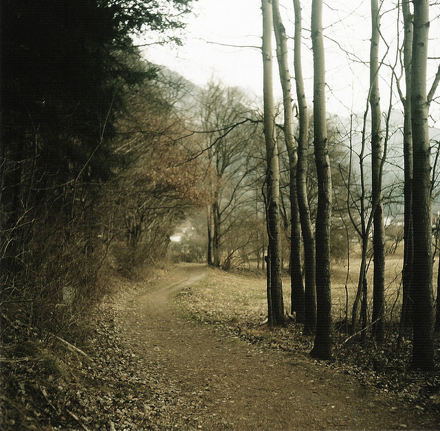 一堂關於人生的課