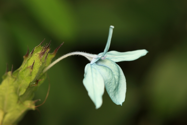 喜歡自己最原本的樣貌