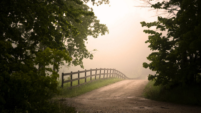把母親當成一面鏡子，內觀自我！