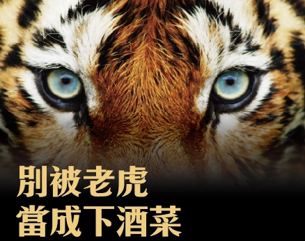 每天做點嚇人的事，打敗心中的老虎！