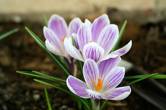 蔡康永：保持神秘，給別人空間去發揮想像力。