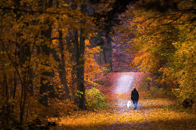 深刻改變，從開啟內在自我對談開始！
