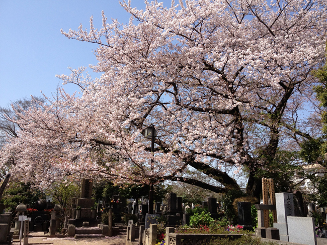 有一條路，可以引領你通往未來...