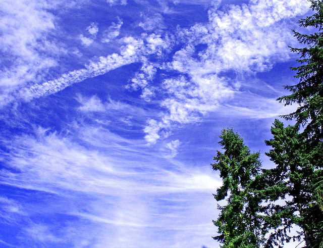 改掉說話語調上揚、過多填塞詞的壞習慣