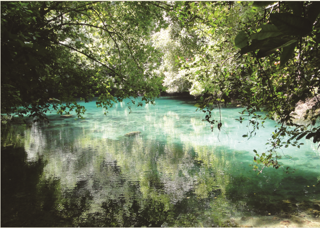 如果還有明天，你會怎麼活出更快樂的自己？