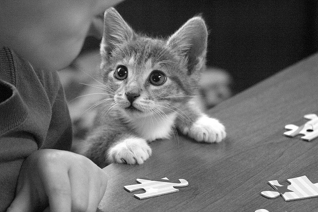 上班族的功勞與苦勞