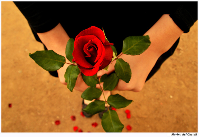 勇敢並非不害怕，而是心懷恐懼依然勇往直前