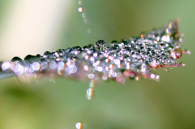 你和你心裡的那些人