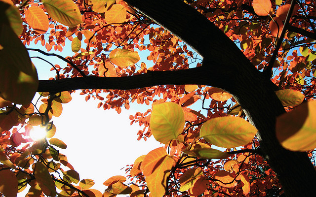 擺脫煩惱，享受一身輕的40歲