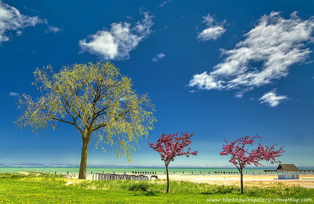 活比身分證上的年齡還年輕！