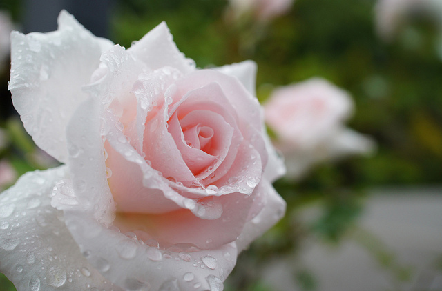 我不是不愛你，只是我們需要的不一樣